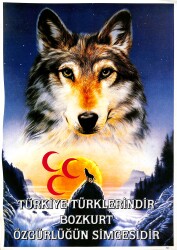 Türk-Bozkurt Temalı Kartpostal (Büyük Boy) KRT22311 - Gökçekoleksiyon