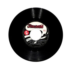 Mehmet Bozdoğan - Yıkılası Gurbet Eller Bir Mektup Gönderdim Alamanyadan (10/7.5) PLK25741 - Gökçekoleksiyon