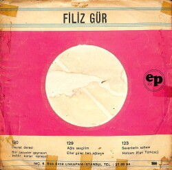 Filiz Gür *PLAK KABI* PLK11338 - 2