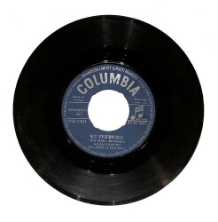 Helen Shapiro - Not Responsible - No Trespassing PLAK (10/7) PLK23917 - Gökçekoleksiyon