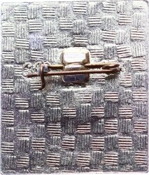 Flenovo Rozet RZT1663 - 2