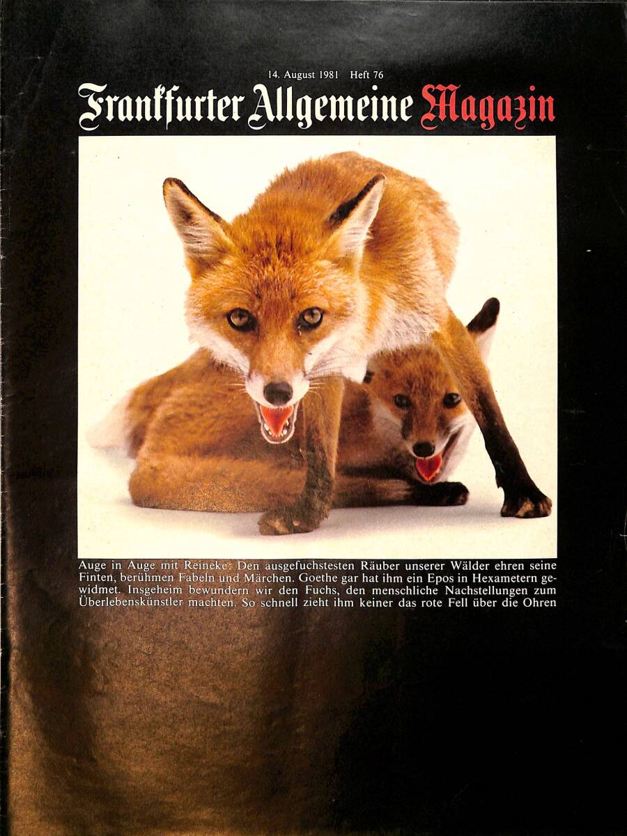 Frankfurter Allgemeine Magazin 14 August 1981 - Sir Georg Solti NDR96688 - 1