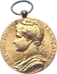  Fransa Çalışma Bakanlığı İşçi Şeref Madalyası Gümüş Üzeri Altın Kaplama MVM2099 #136 - 3