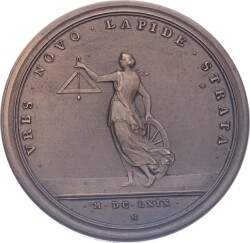 Fransa Kral XIV.Louis 1669 Yılı Paris'in Modernleşmesi Madalyon ( Restrike -19YY) MVM2166 - 3