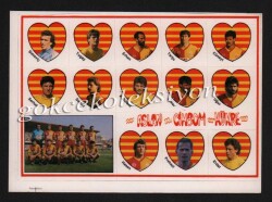 Galatasaray Taraftar Çıkartma Aksesuarı AKS215 - Gökçekoleksiyon