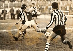 Galatasaraylı B.Mehmet Orjinal Fotoğraf KRT12262 - Gökçekoleksiyon