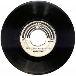 Hayri Şahin - Kırk Yılda Bir Sevmiştim / Aşk Yemini PLAK (10/6) PLK24875 - Gökçekoleksiyon