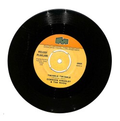 Gershon Kingsley The Moog - Twinkle TwinkleTrumansburg Whistle (107) PLK16754 - 1
