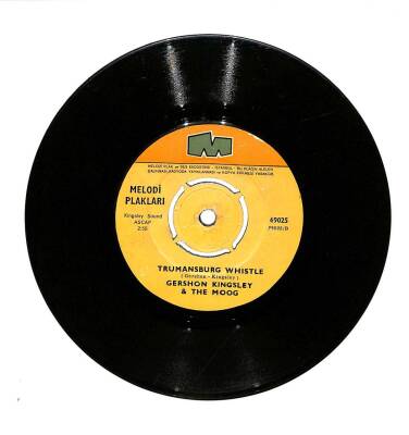 Gershon Kingsley The Moog - Twinkle TwinkleTrumansburg Whistle (107) PLK16754 - 2
