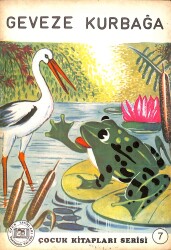 Geveze Kurbağa NDR101284 - Gökçekoleksiyon