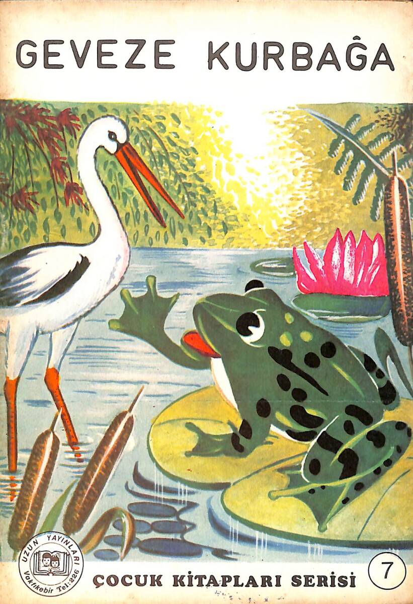 Geveze Kurbağa NDR101284 - 1