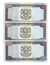 Türkmenistan 5000 Manat Seri Takipli (3 Adet ) ÇİL YKP8437 - 2