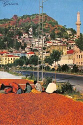 Giresun Kartpostal KRT19102 - Gökçekoleksiyon