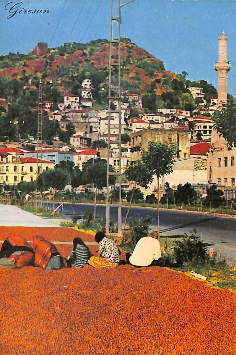 Giresun Kartpostal (Küçük Boy) KRT23633 - 1