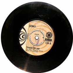 Şenay - Sessiz bir yer / Dünden bugüne Plak (10/6.5) PLK25264 - Gökçekoleksiyon