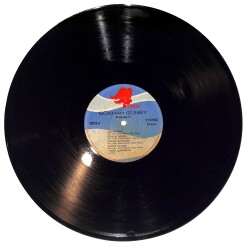 Gökhan Güney - Alışacağım LP PLAK (Açıklamayı Okuyunuz) PLK26635 - 1
