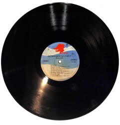 Gökhan Güney - Alışacağım LP PLAK (Açıklamayı Okuyunuz) PLK26635 - 2