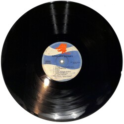 Gökhan Güney – Garibin Çilesi Ölünce Biter LP PLAK (Açıklamayı Okuyunuz) PLK26673 - 1