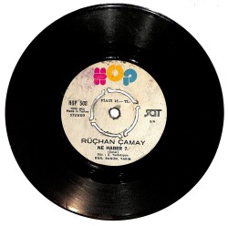 Rüçhan Çamay - Ne Haber / Yavaş Yavaş Plak (10/6.5) PLK25314 - Gökçekoleksiyon