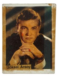 GOLDEN Sakızı Artistler Serisi No 47 GÖKSEL ARSOY # SKZ1536 - Gökçekoleksiyon