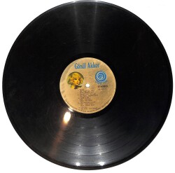 Gönül Akkor – Beterin Beteri Var LP PLAK (Açıklamayı Okuyunuz) PLK26657 - 2