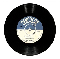 Behiye Aksoy - Gözlerimin Yaşı - Sevmek Ne Güzel Şeydir PLAK (10/8) PLK24697 - Gökçekoleksiyon