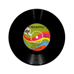 Rıza Aslandoğan - Çoban Gardaş / Bahçenizde Bir Taş Attım Vişneye PLAK (10/8.5) PLK25744 - Gökçekoleksiyon