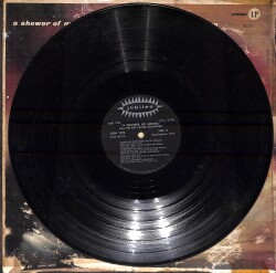 Gray Rains Orchestra – A Shower Of Moods LP PLAK (Açıklamayı Okuyunuz) PLK26726 - 3