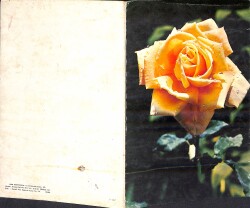 Gül Temalı Açılır Kapaklı Kartpostal KRT2749 - 2