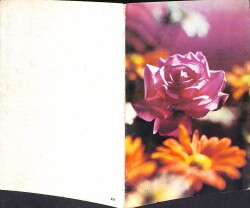 Gül Temalı Açılır Kapaklı Kartpostal KRT2750 - 2