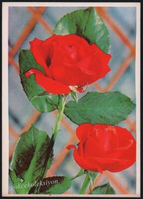 Gül Temalı Kartpostal KRT2712 - 1