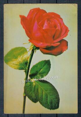 Gül Temalı Kartpostal KRT2738 - 1