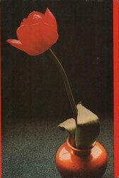 Gül Temalı Kartpostal KRT2974 - Gökçekoleksiyon