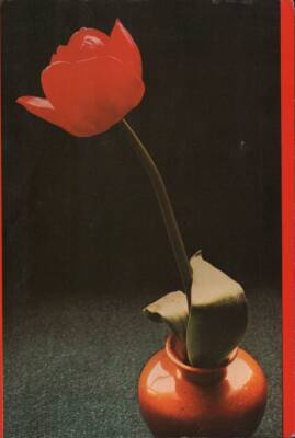 Gül Temalı Kartpostal KRT2974 - 1