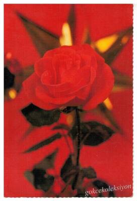 Gül Temalı Kartpostal KRT2984 - 1