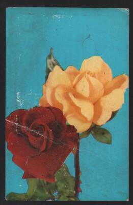Gül Temalı Kartpostal KRT2988 - 1