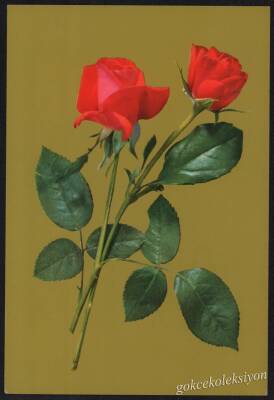 Gül Temalı Kartpostal KRT2991 - 1