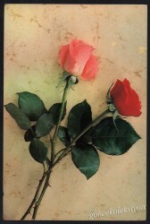 Gül Temalı Kartpostal KRT2996 - Gökçekoleksiyon