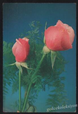 Gül Temalı Kartpostal KRT2997 - 1