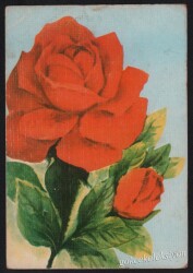 Gül Temalı Kartpostal KRT3001 - Gökçekoleksiyon