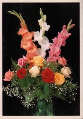 Gül Temalı Kartpostal KRT3002 - 1