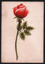 Gül Temalı Kartpostal KRT3020 - Gökçekoleksiyon