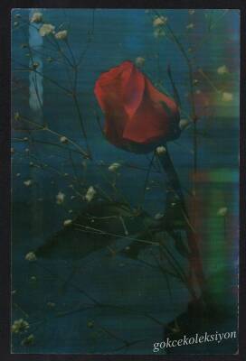 Gül Temalı Kartpostal KRT3022 - 1