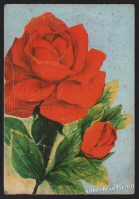 Gül Temalı Kartpostal KRT3032 - 1
