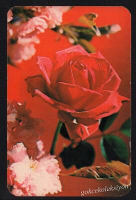 Gül Temalı Kartpostal KRT3040 - 1