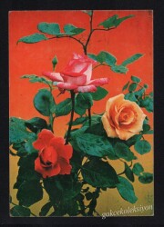 Gül Temalı Kartpostal KRT3042 - Gökçekoleksiyon