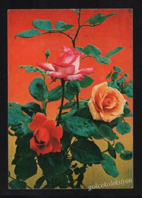Gül Temalı Kartpostal KRT3042 - 1