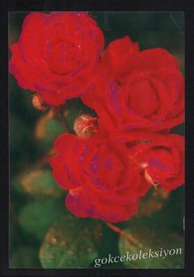 Gül Temalı Kartpostal KRT3044 - 1