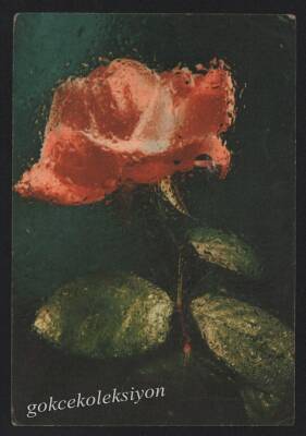 Gül Temalı Kartpostal KRT3045 - 1