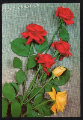 Gül Temalı Kartpostal KRT3155 - 1